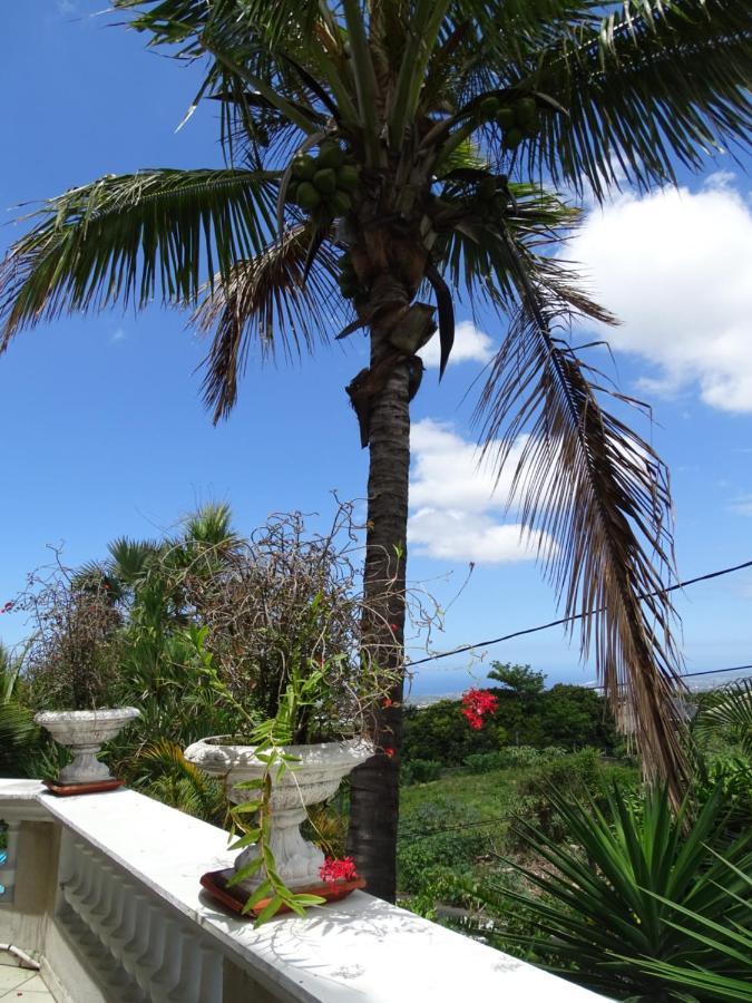 Hotel Residence Le Phoenix Saint Pierre Εξωτερικό φωτογραφία