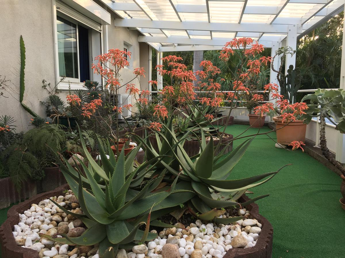 Hotel Residence Le Phoenix Saint Pierre Εξωτερικό φωτογραφία